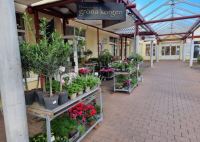 Inarbetad blomsterbutik med kvalité i Helsingborg