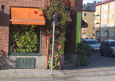 Cafélokal med charmig gammal stil på Möllan